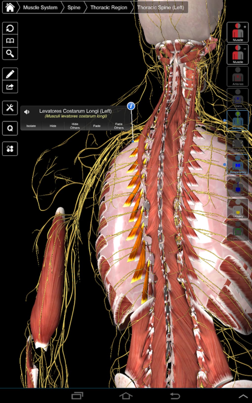 essential anatomy 2 mac free download